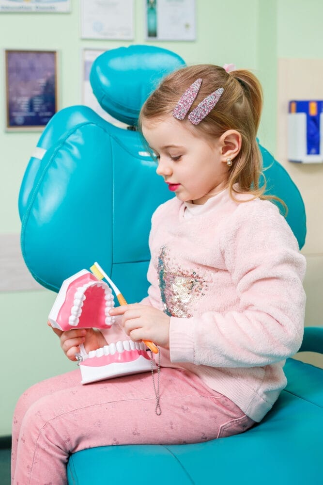 Pedia dentist examining miniature teeth model with toothbrush in hand. Child sitting in dental chair during educational dental check-up. Focus on pediatric oral health and dental hygiene.